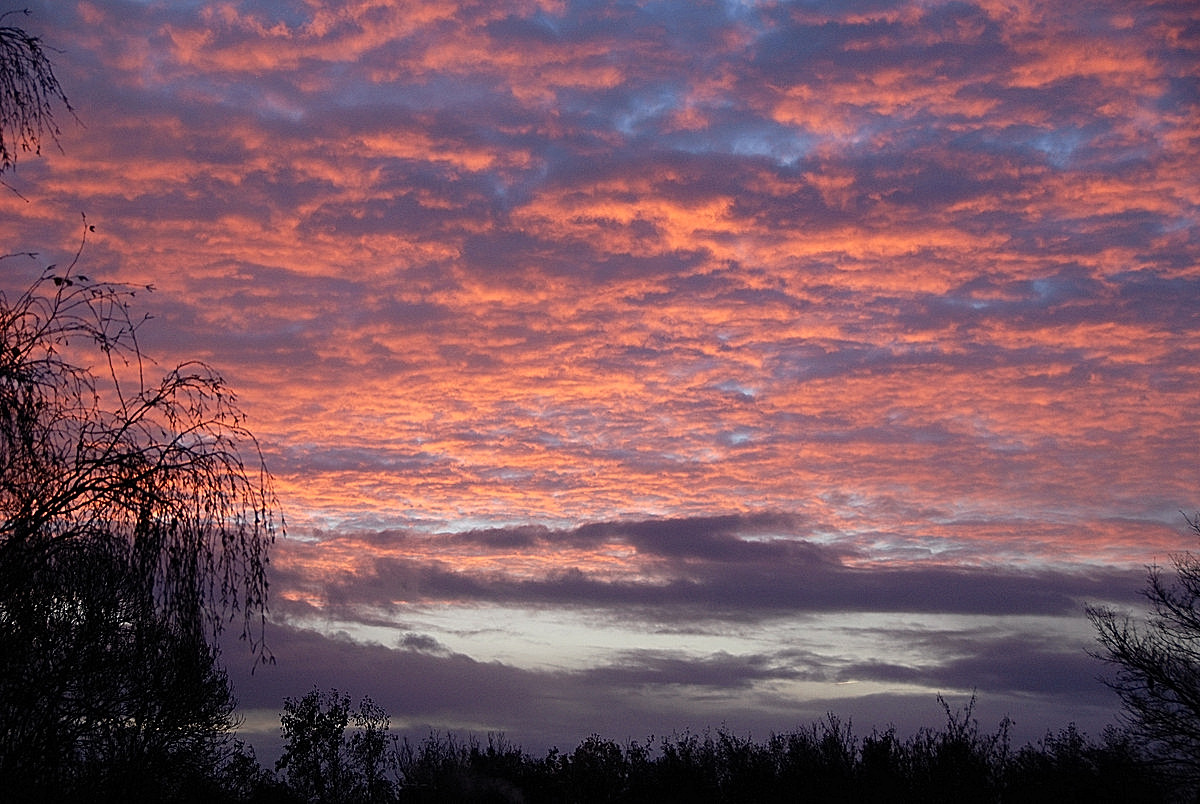 Morgenrood.