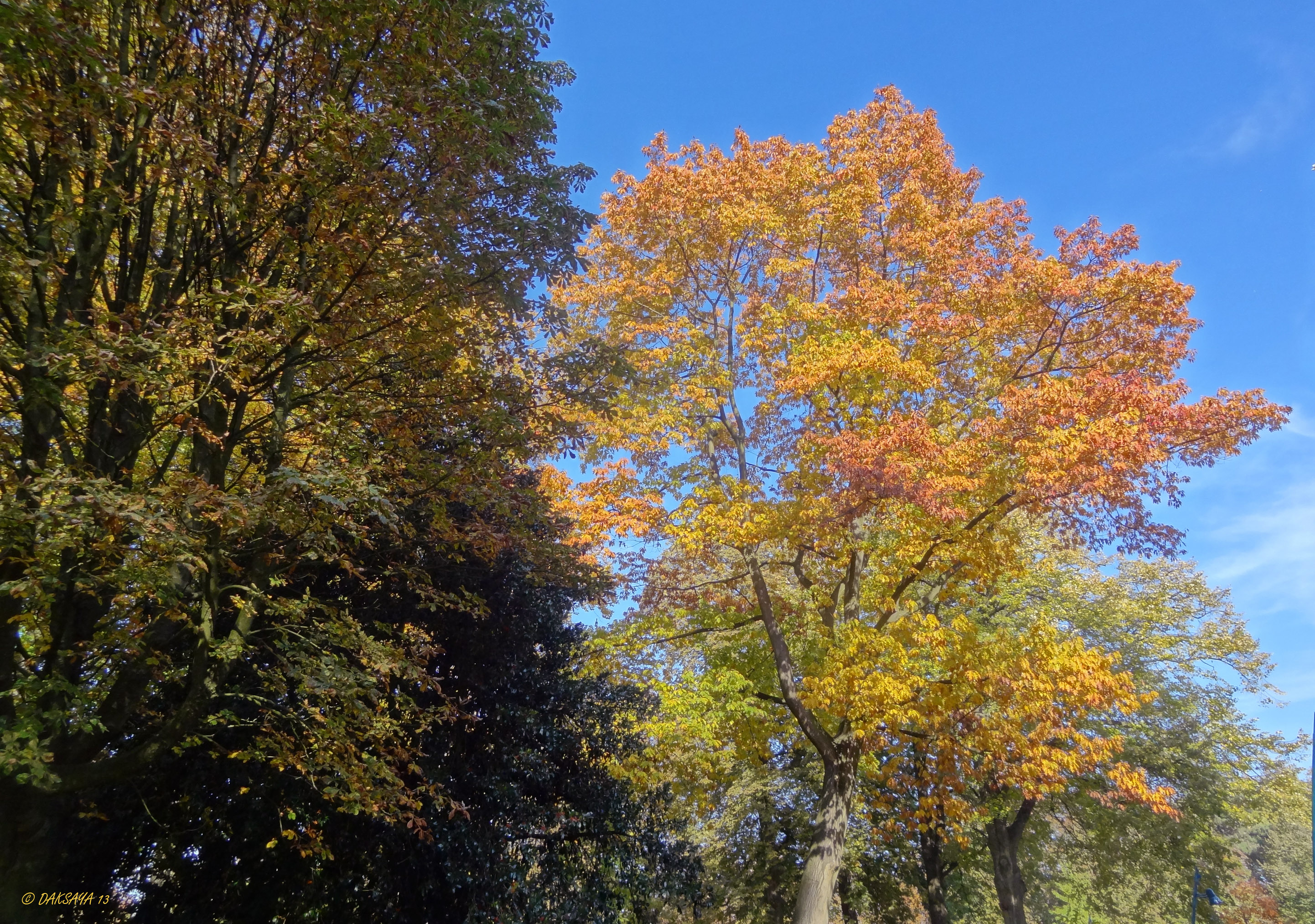 Herfstpalet