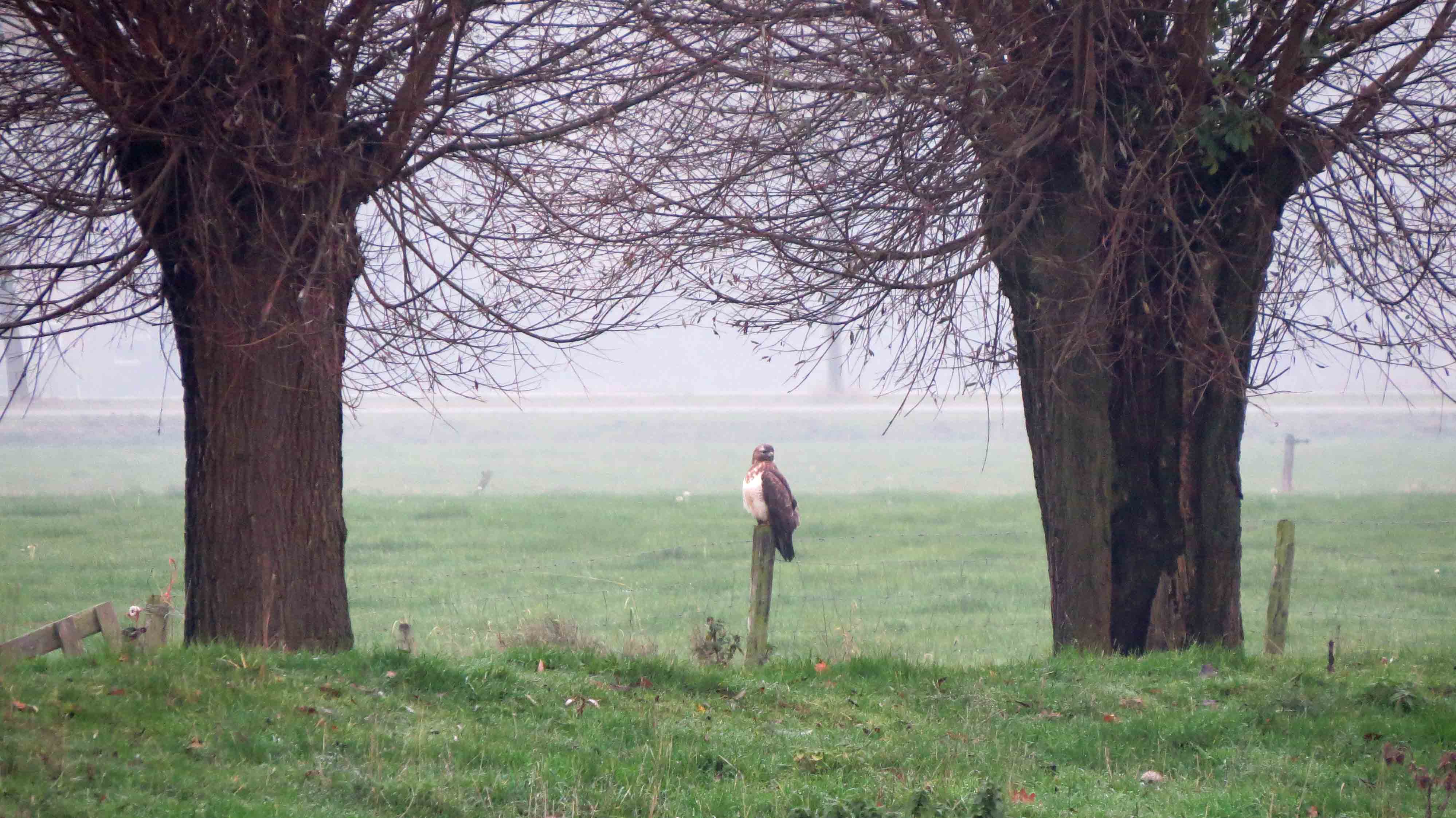 Mooi plekje om te rusten