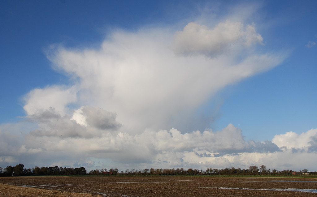 Cumulonimbus...