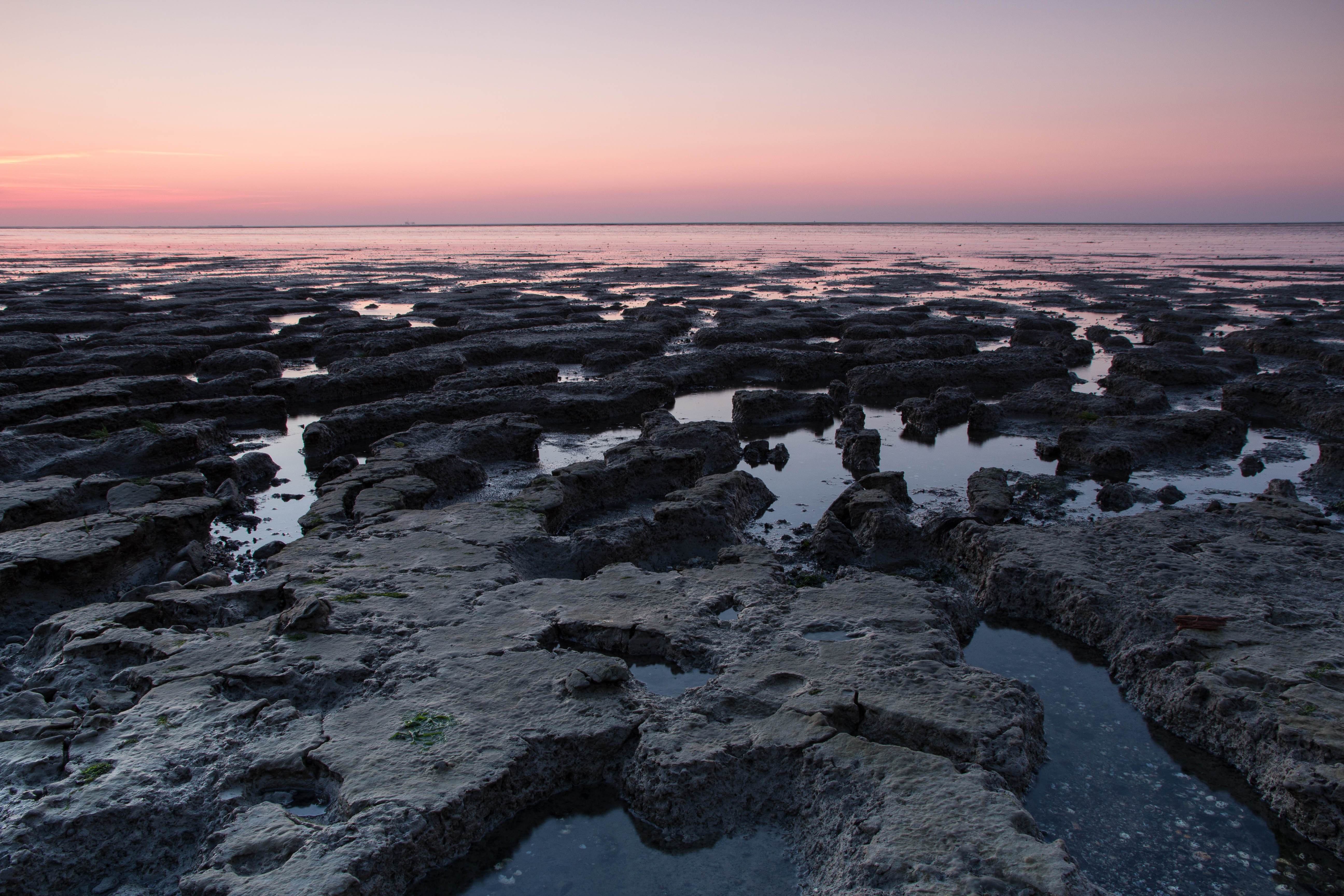waddenzee