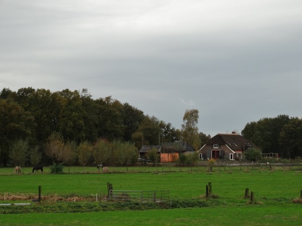 Aan de rand van Zwolle