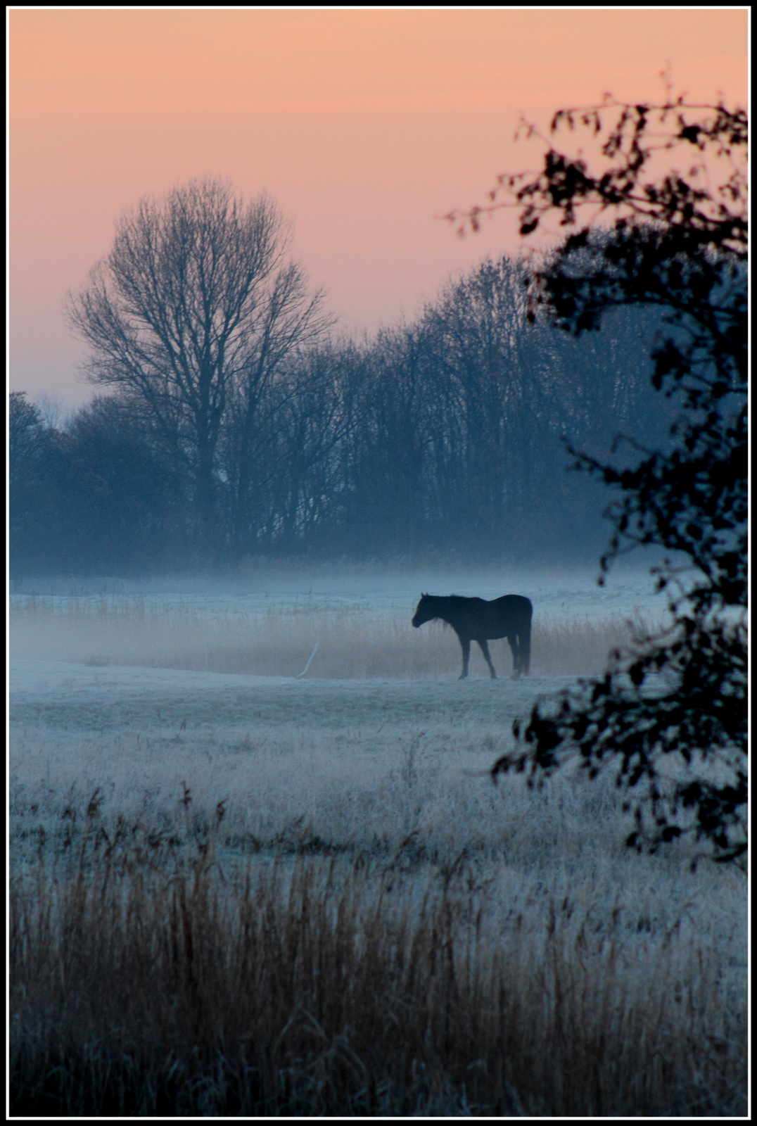 Mist en vorst.