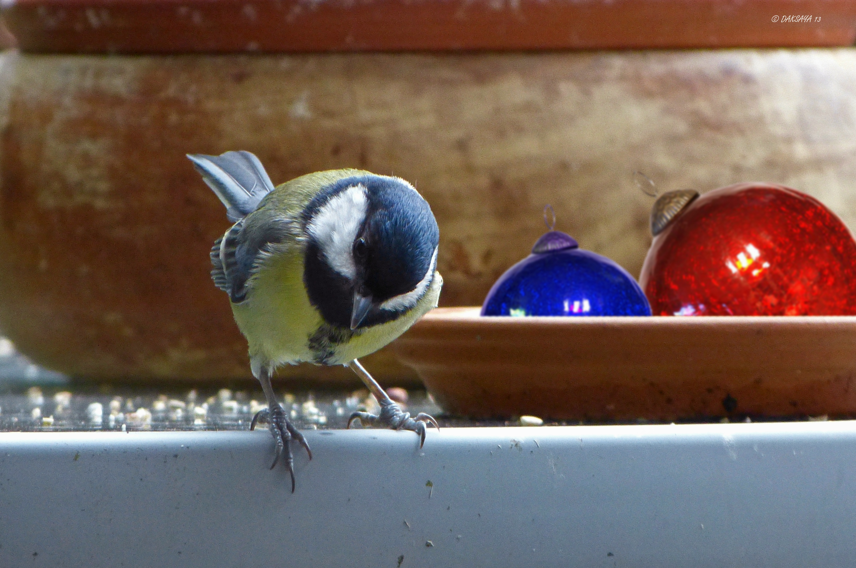 Kerstmees