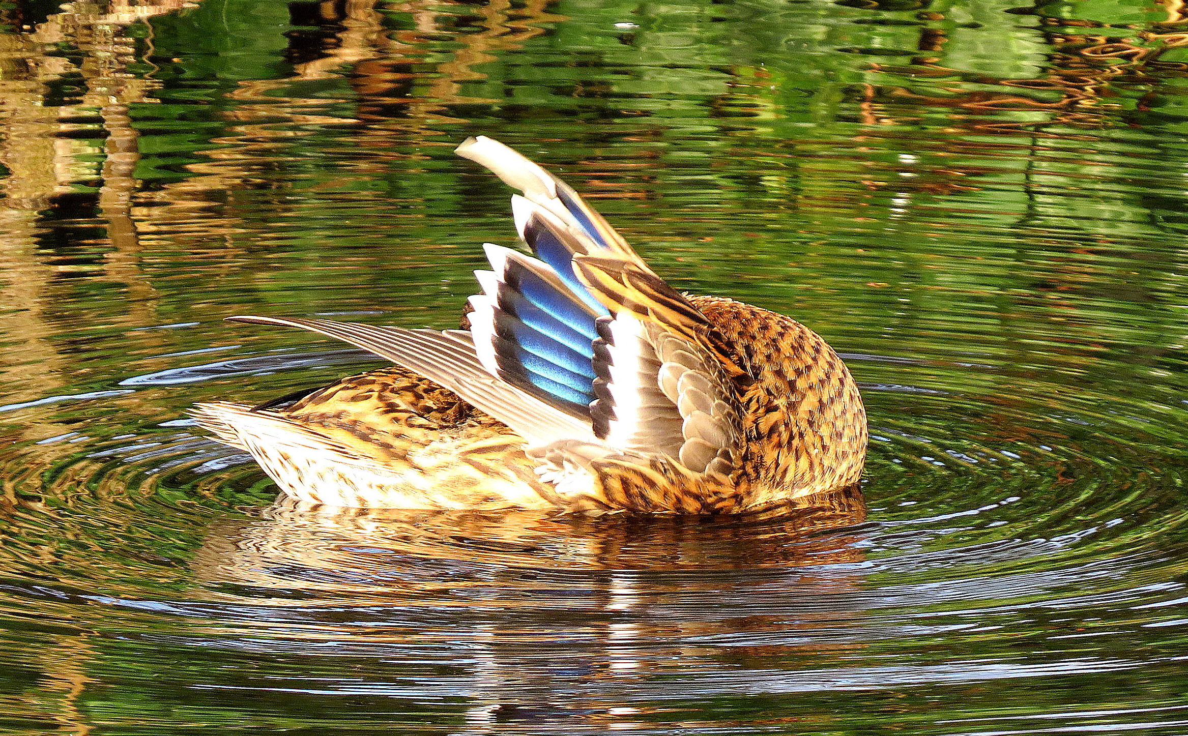 Ik ben er even niet!