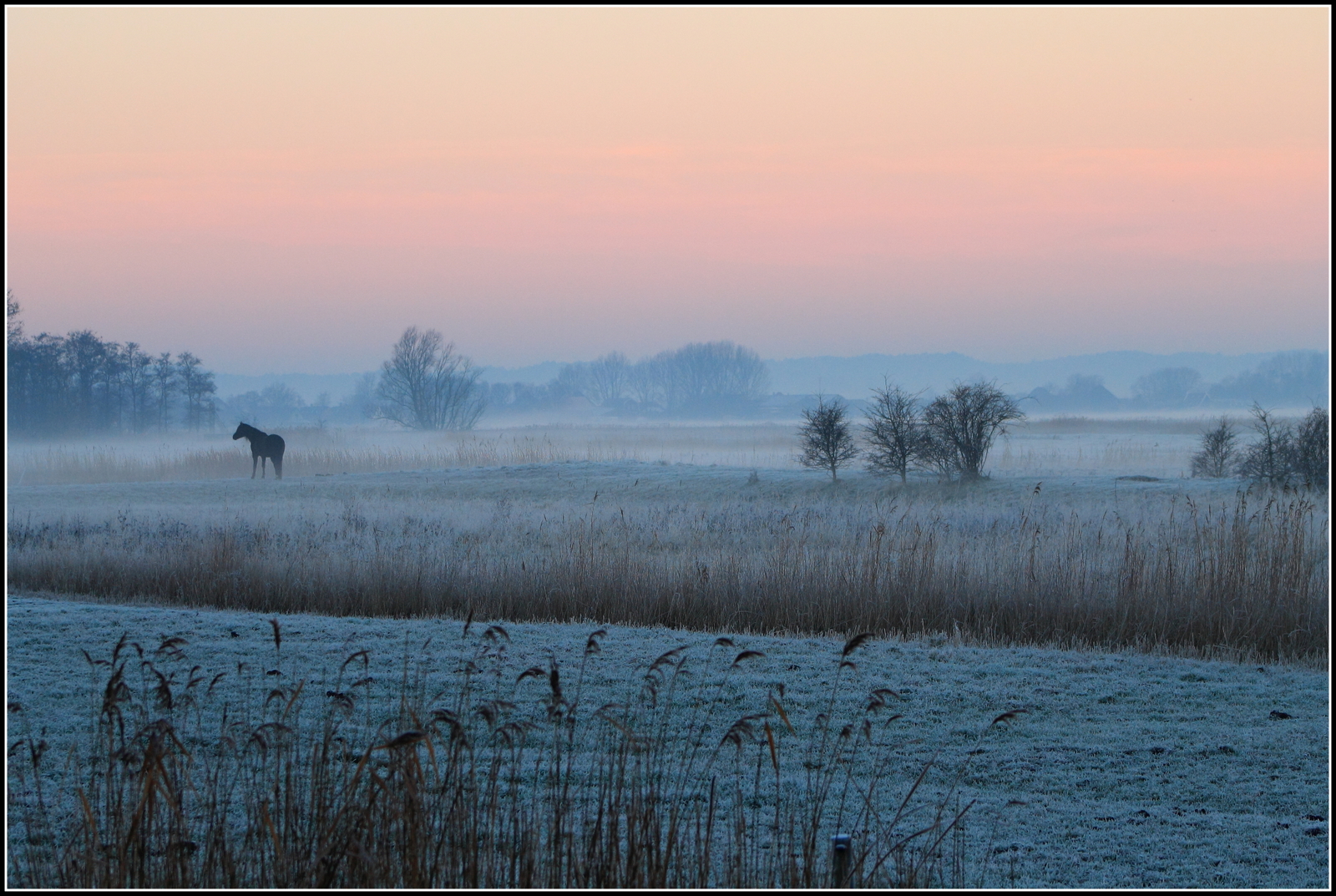 Zonsopkomst, mist en vorst.