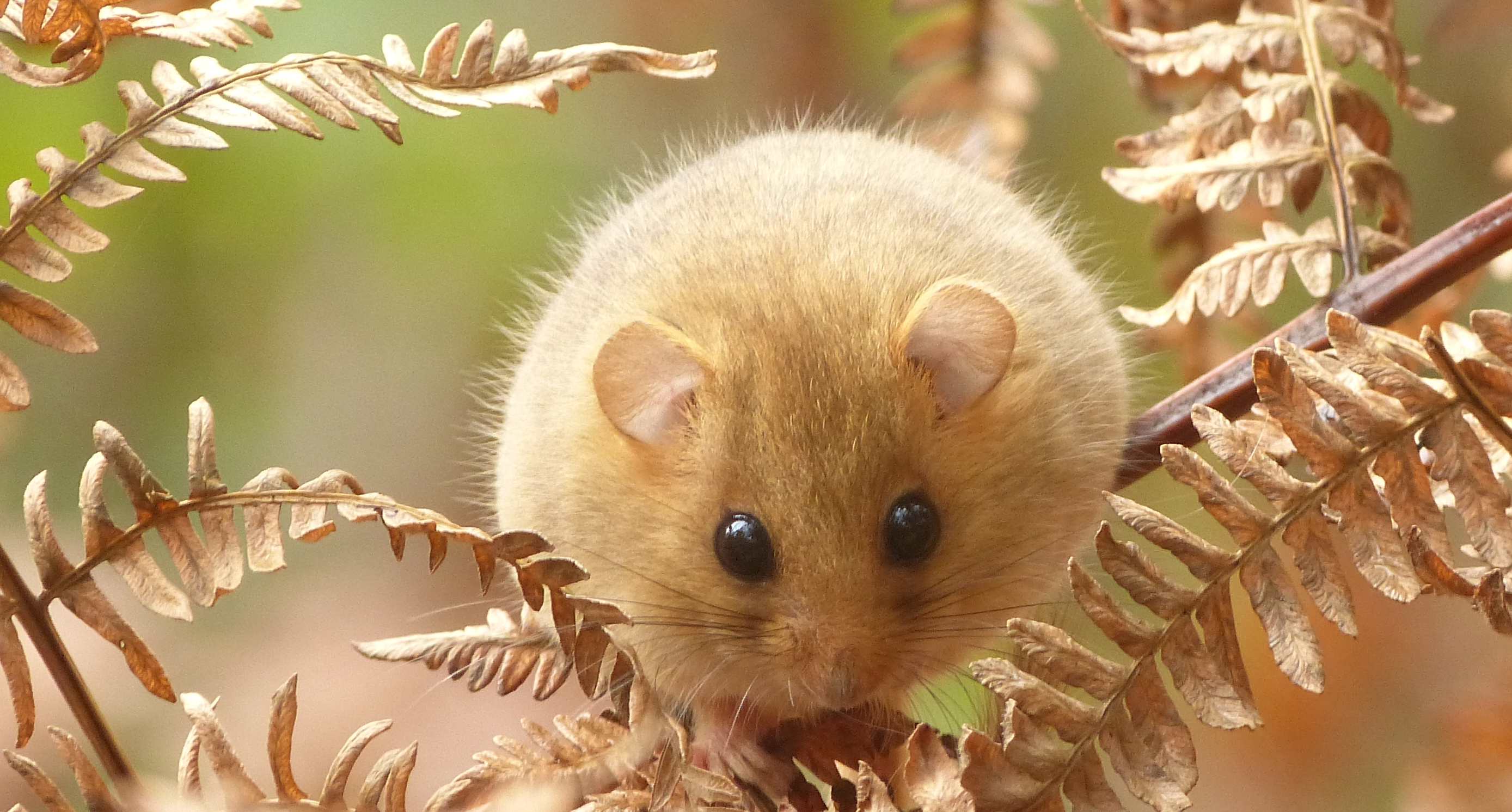 Klaar voor de winter