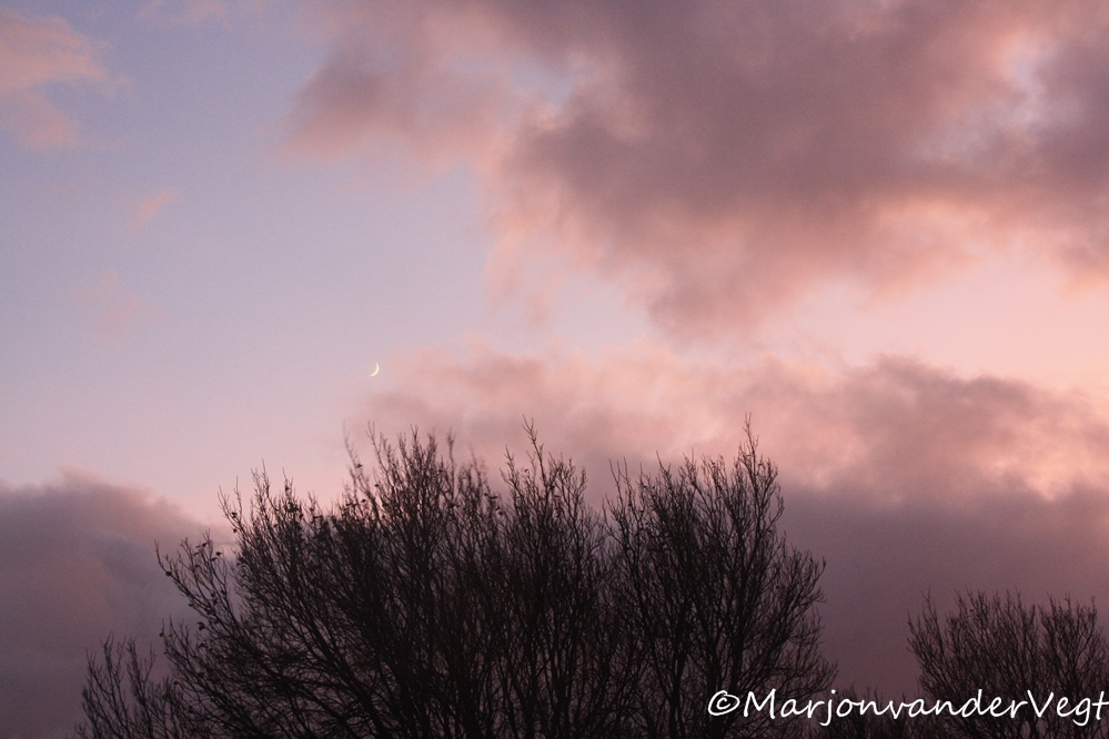 Prachtige avondlucht