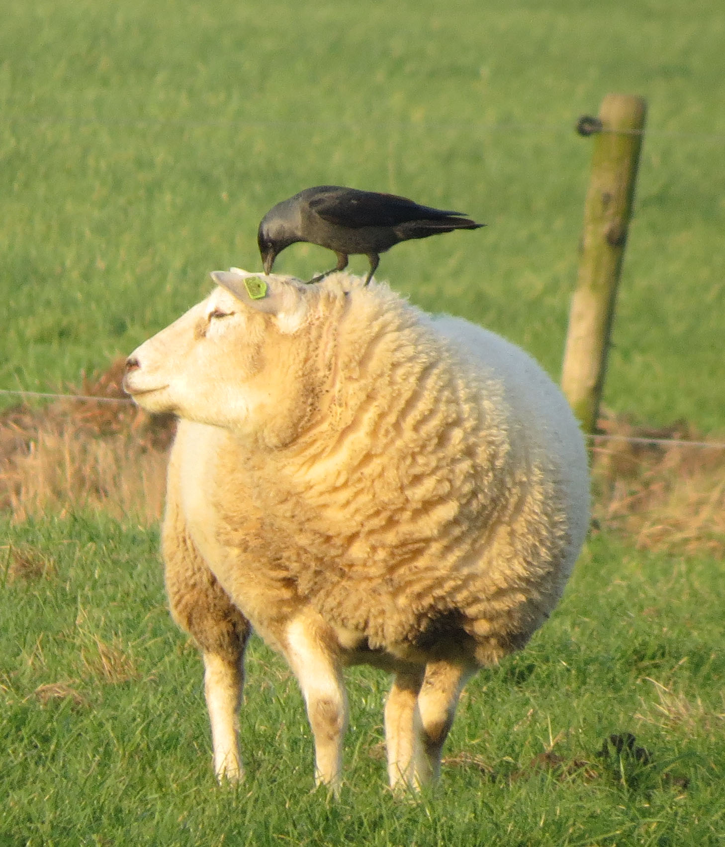 Op bezoek (1)