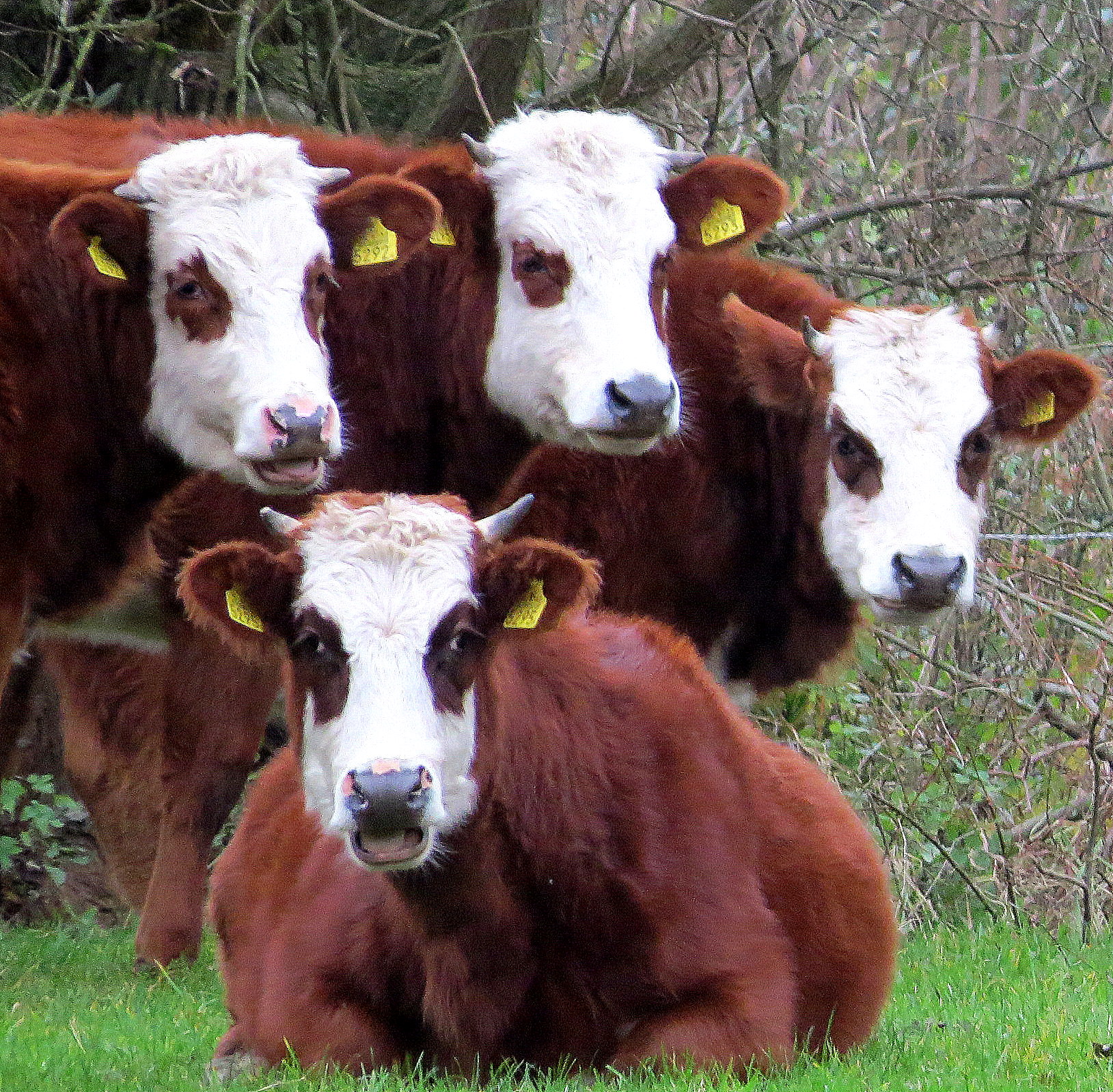 Allemaal even lachen voor de foto!