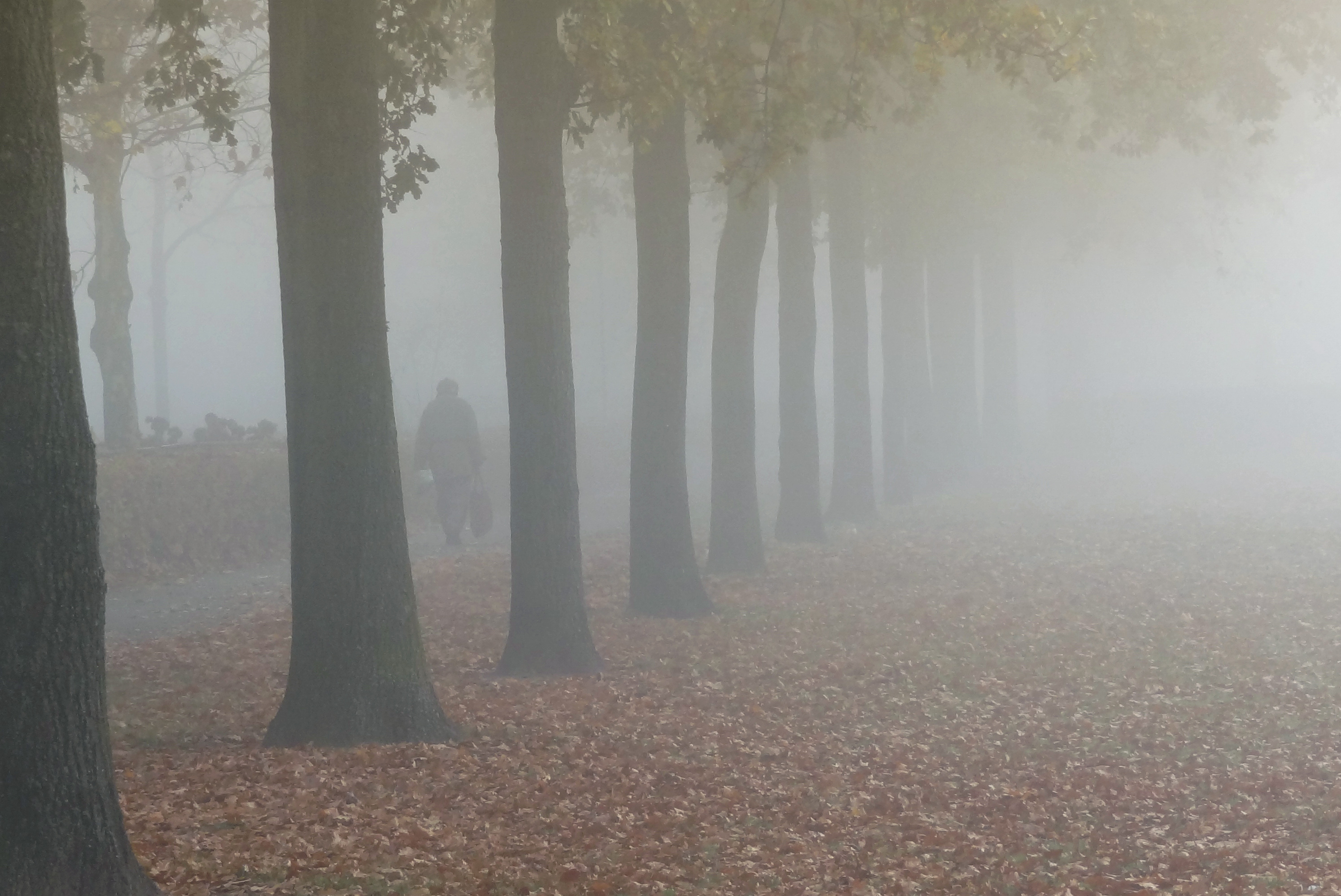 Mist