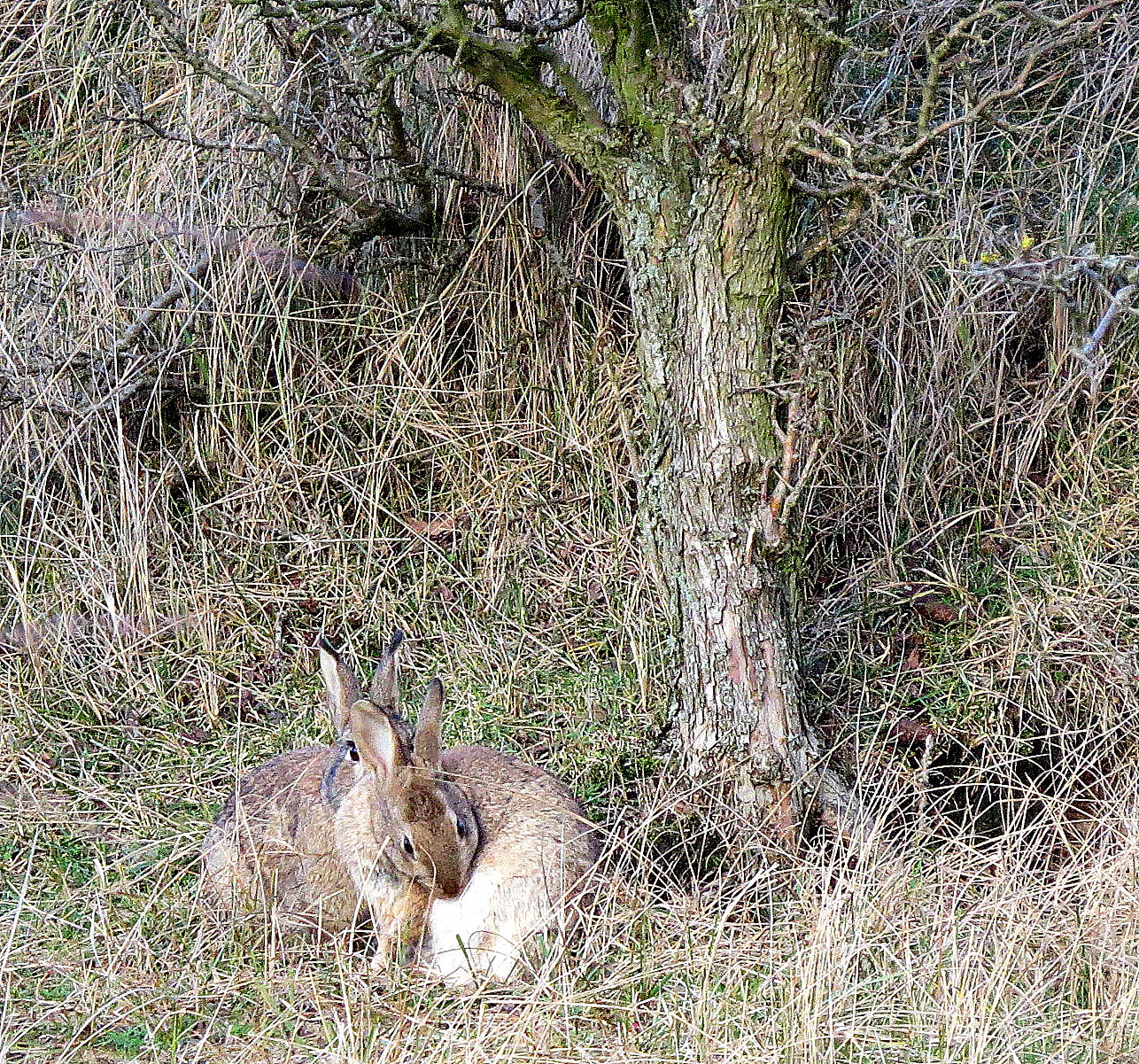 Opgaan in de omgeving