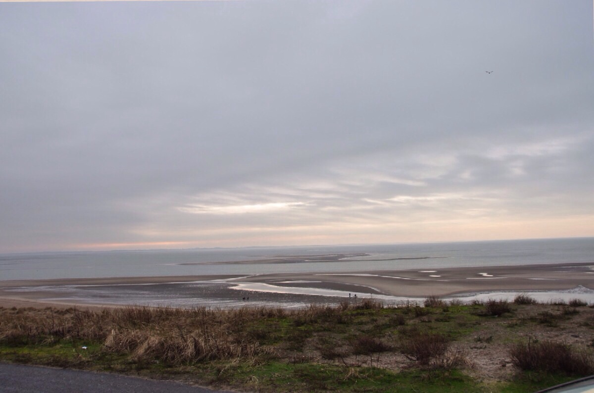 Nieuwe Maasvlakte