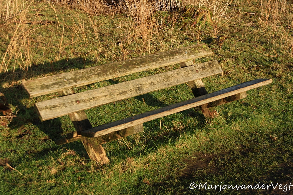 Ligbank in Oostvaardersplasse