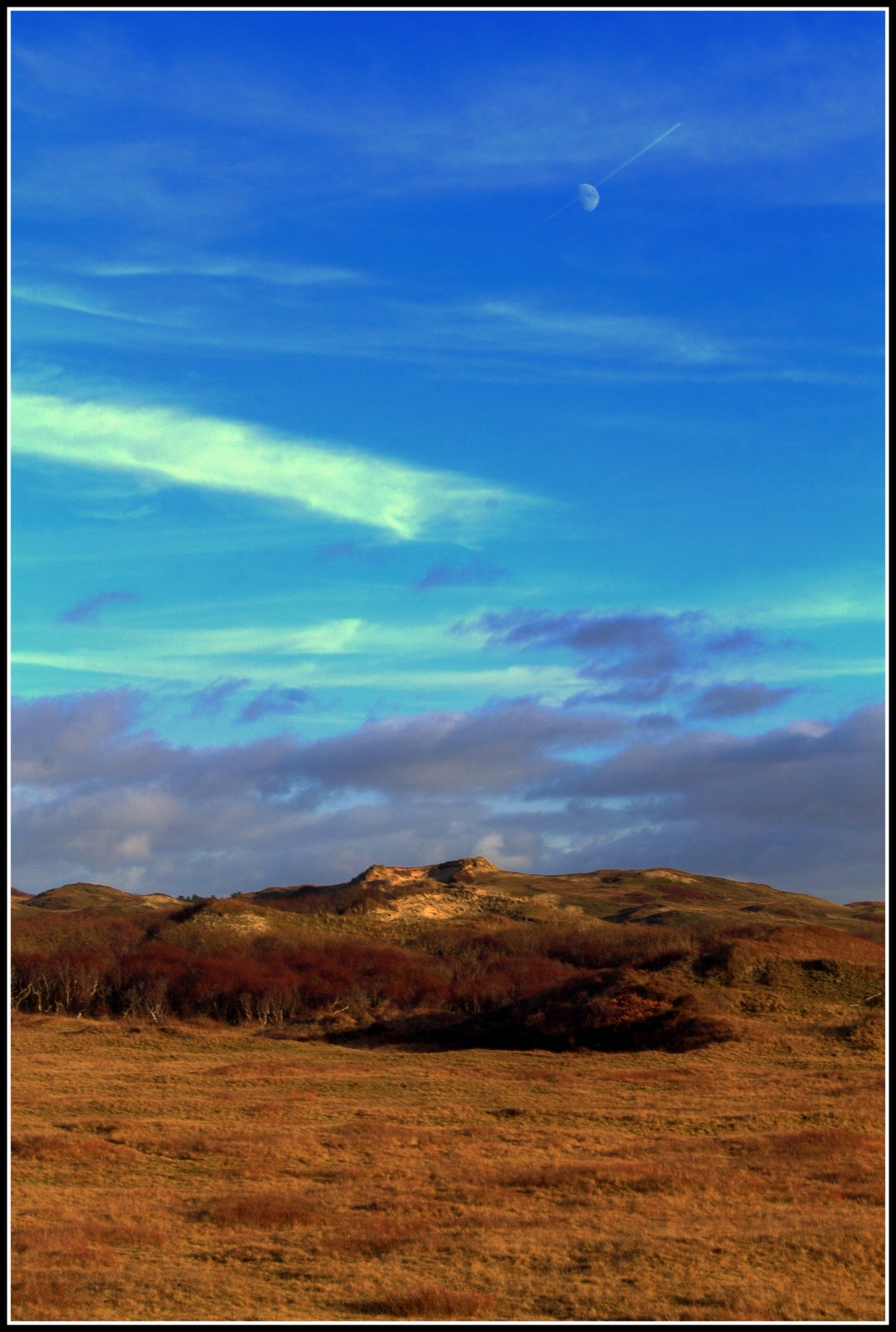 Duinen.
