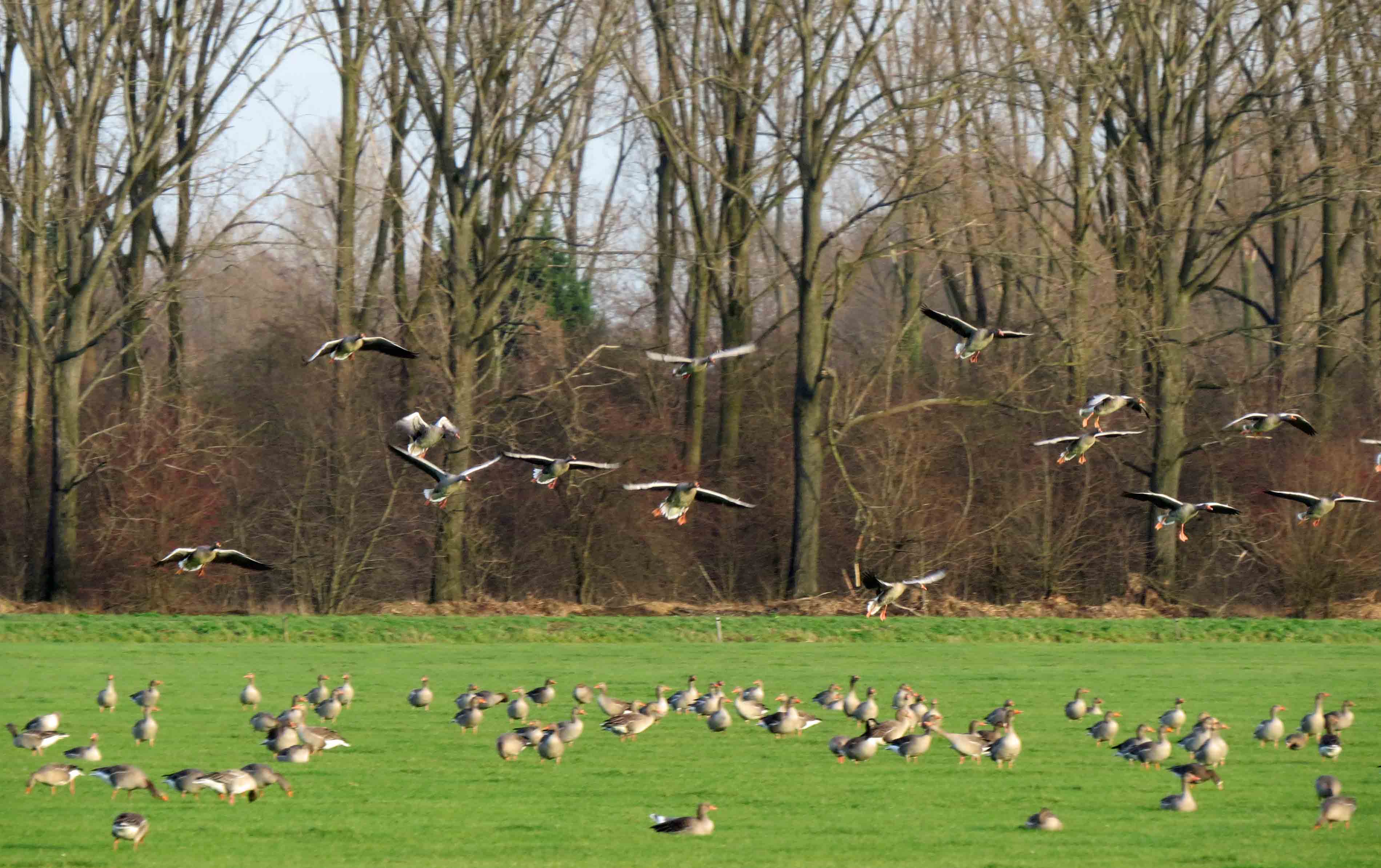 Maak plaats, maak plaats...