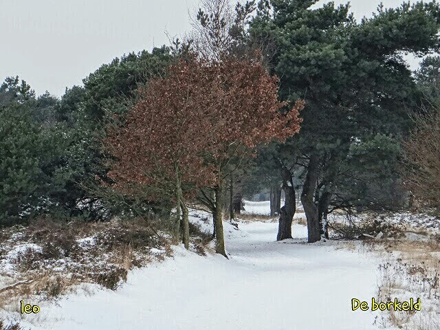 winter op de borkeld   2013