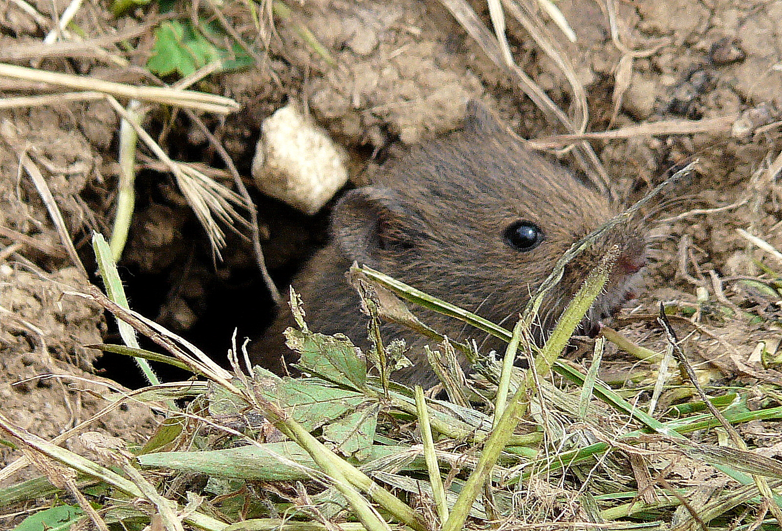 Een luchtje scheppen