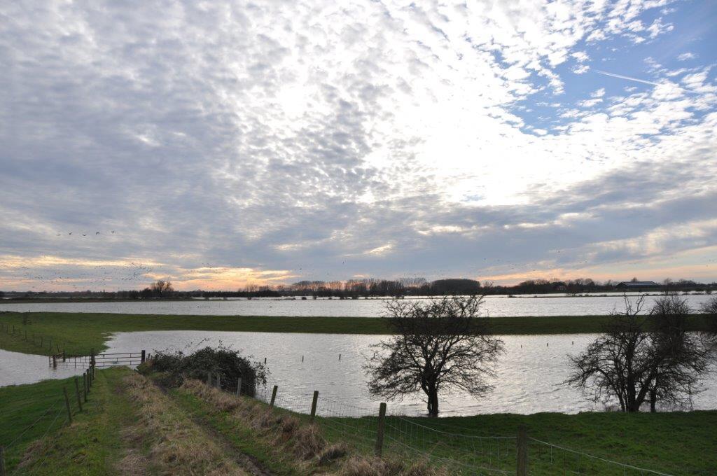 Hoog water 2
