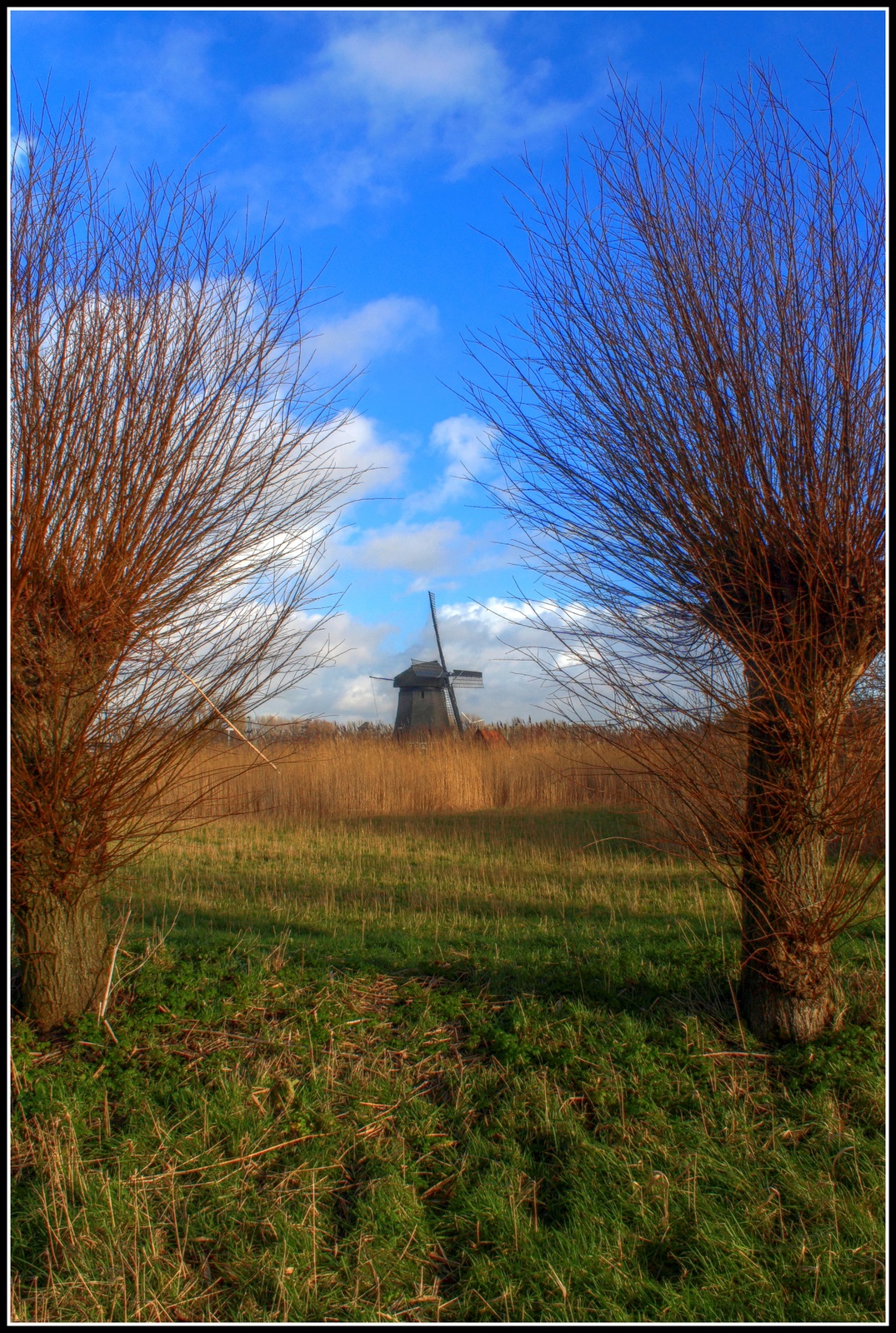 Molen.
