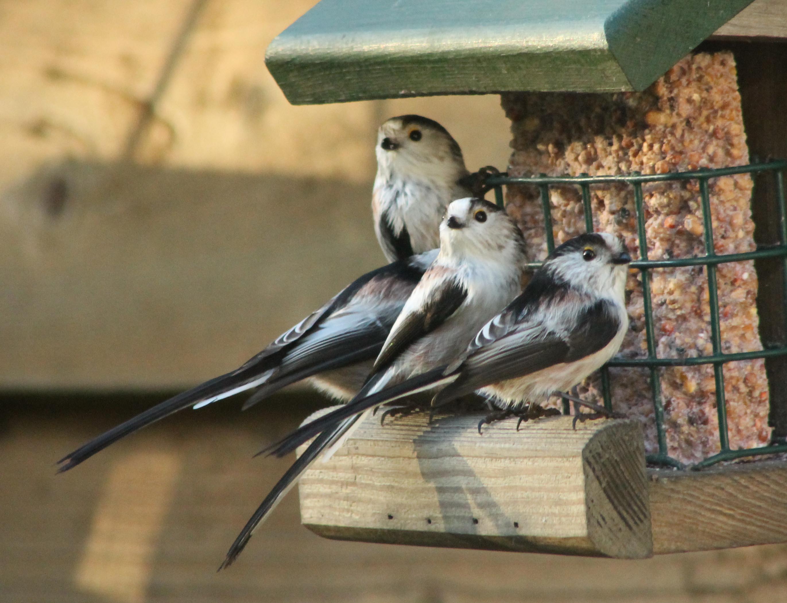 En graag even in de lens kijken.