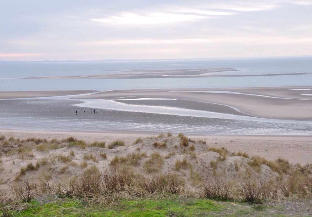 Maasvlakte