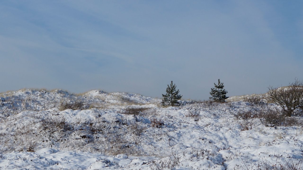 zwanenwater in winter 