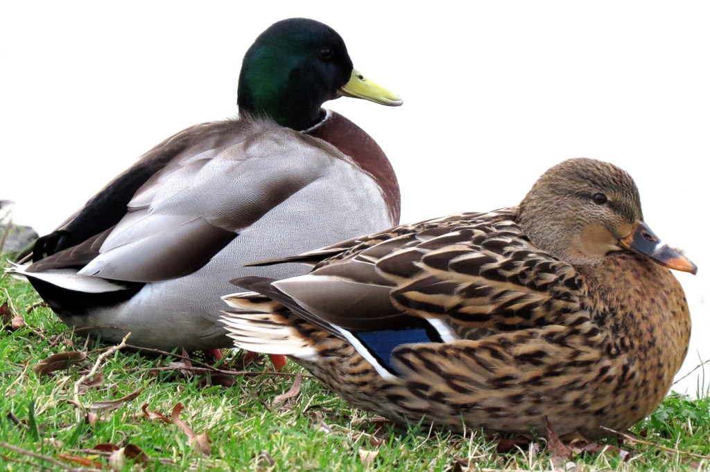 Lekker aan de waterkant