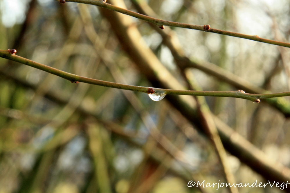 De wereld op z'n kop