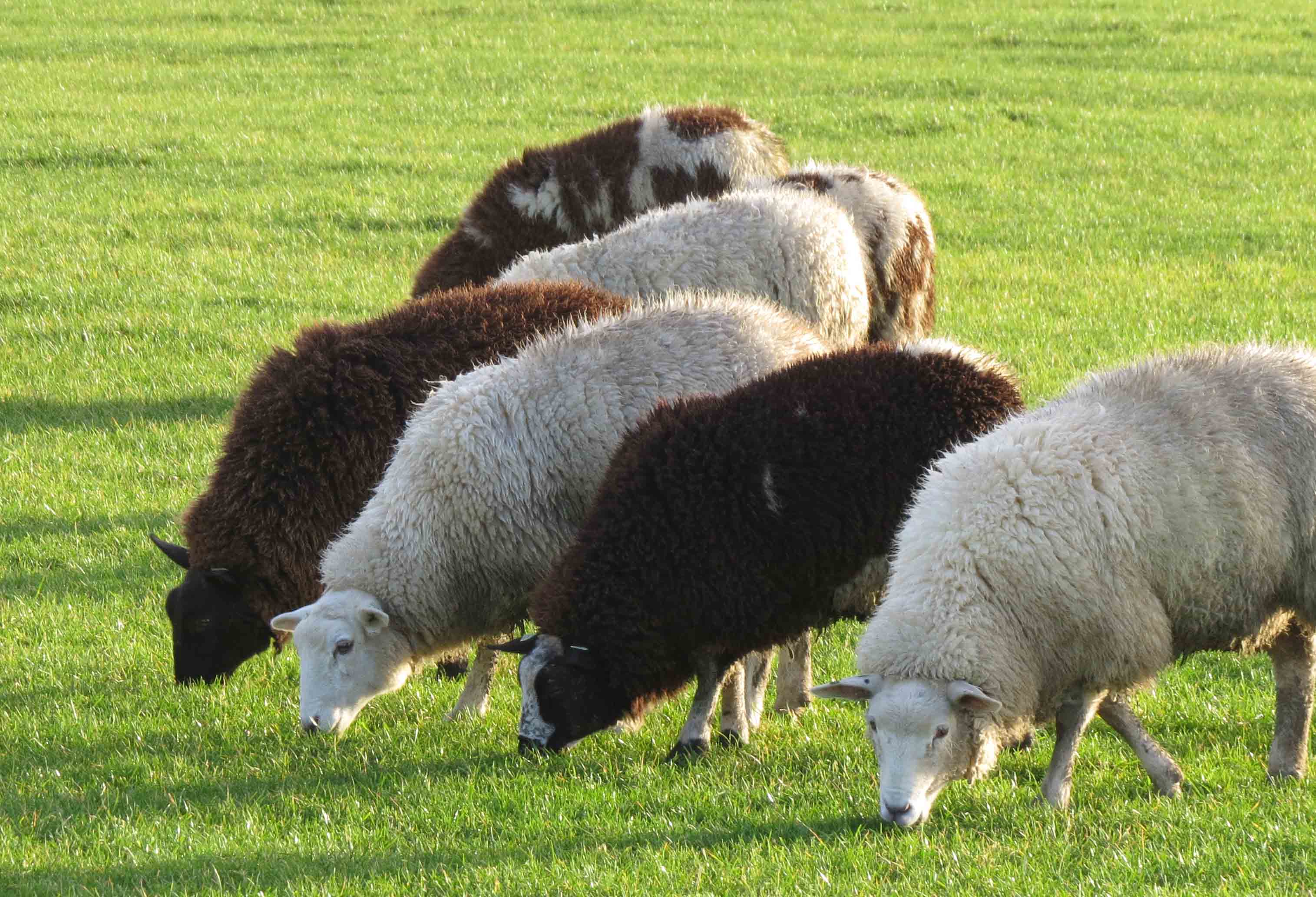 Kies je trui maar uit