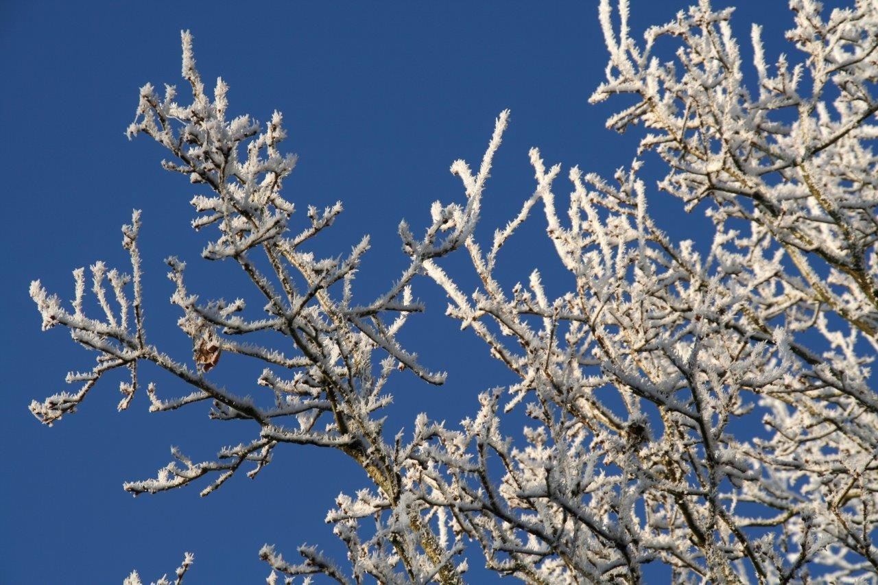 Winter 2