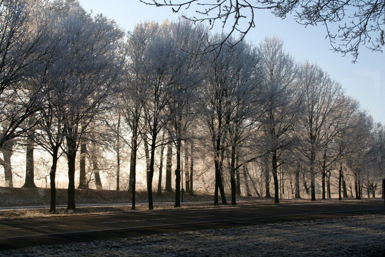 Winter 3
