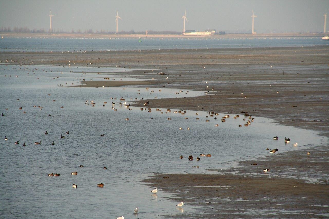 Langs de Zijpe