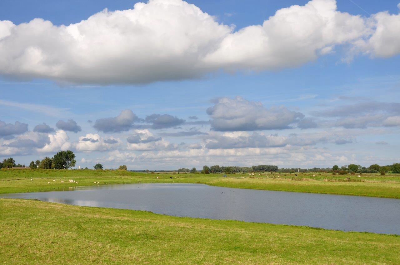 Wolken