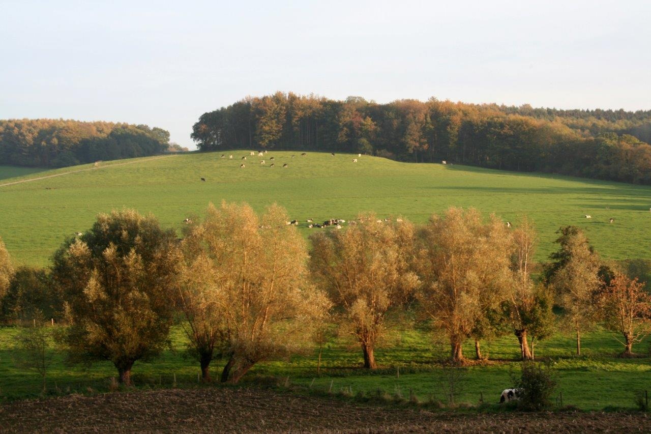 Zuid Limburg