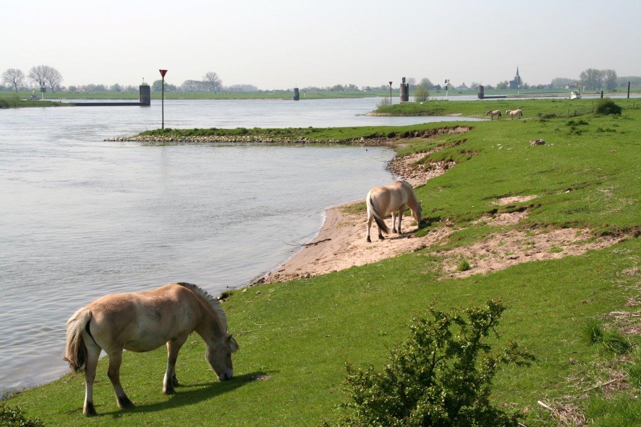 Langs de Lek