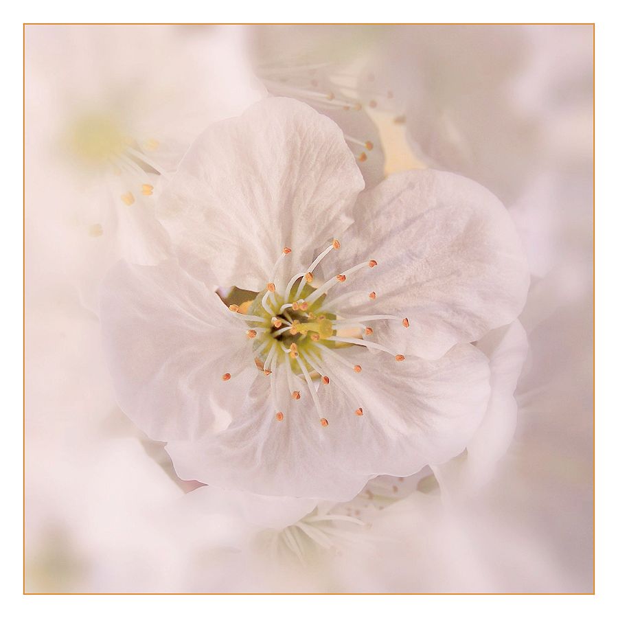 Nog eventjes wachten...