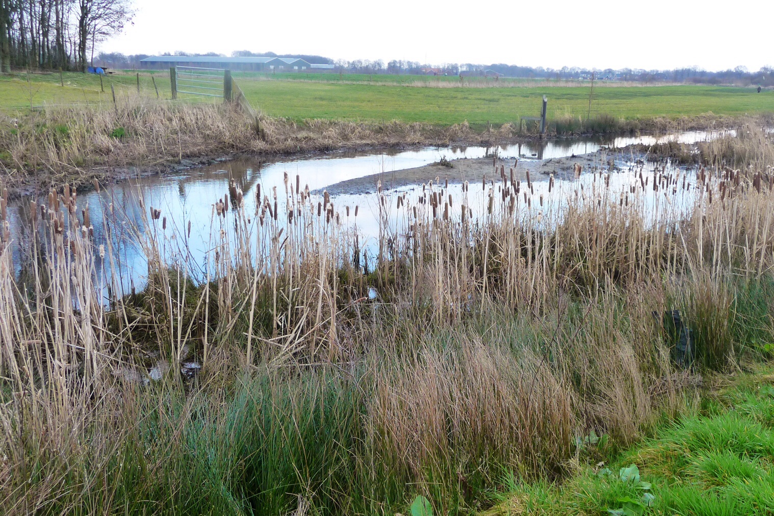 Luntersebeek 2