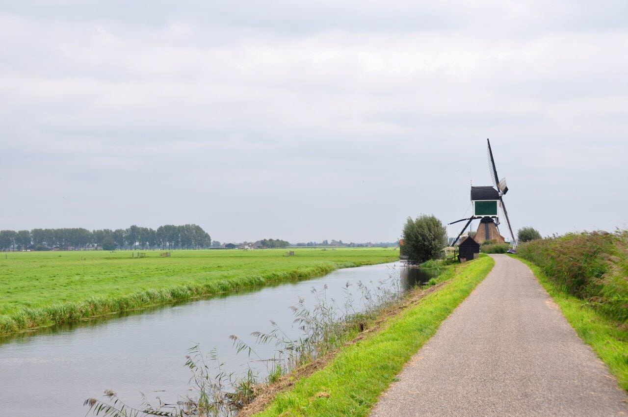 Molen