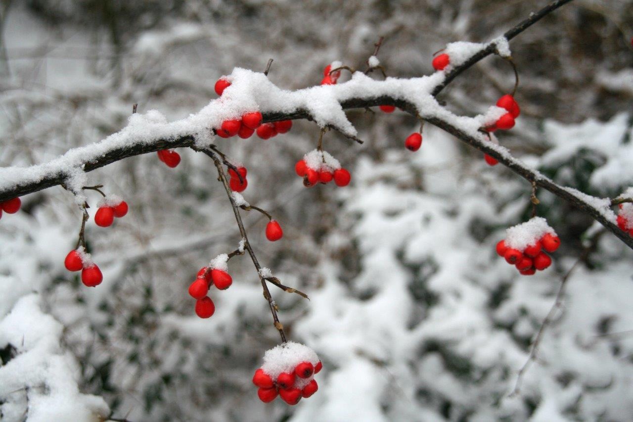 Winter3