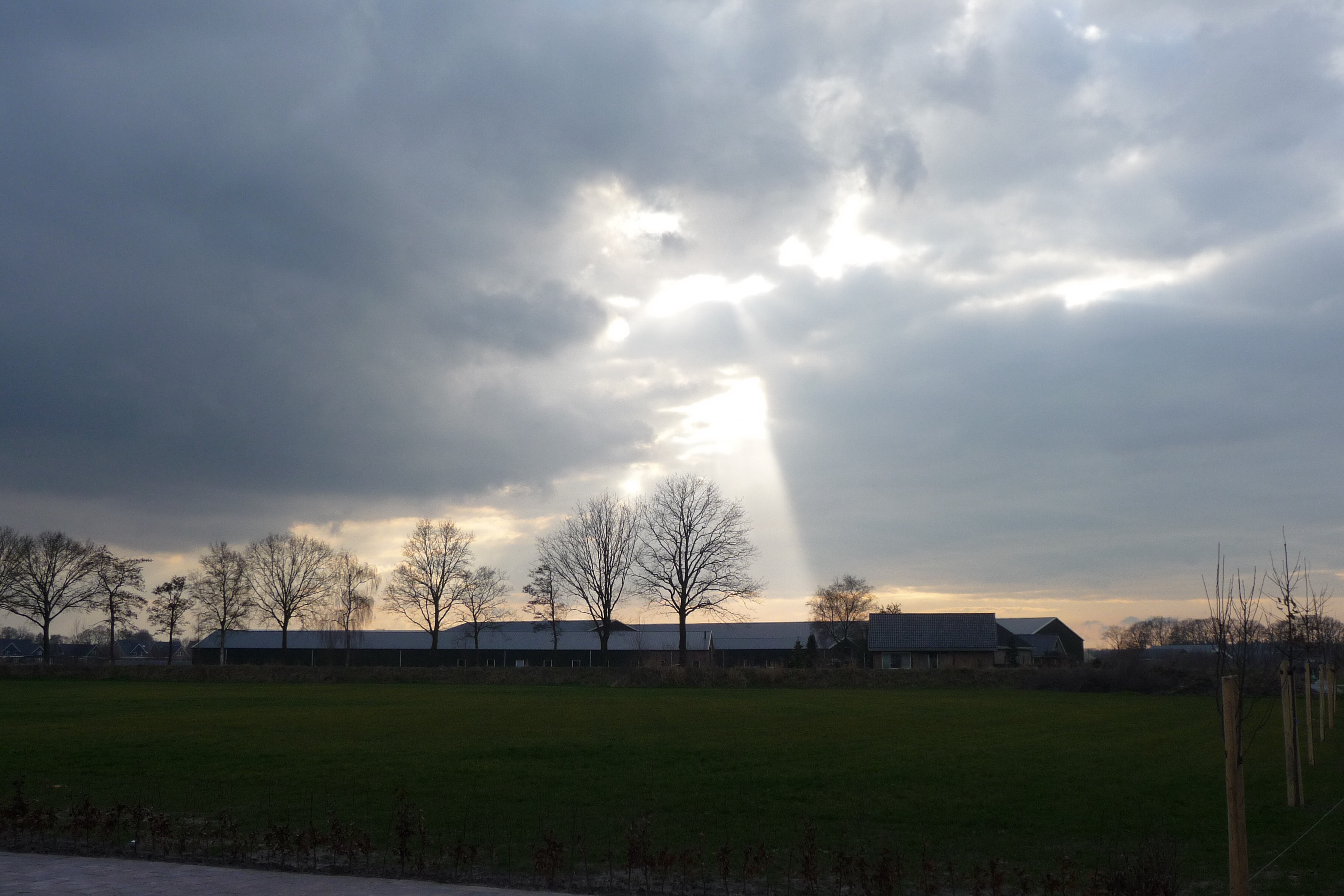 Wolk voor zon
