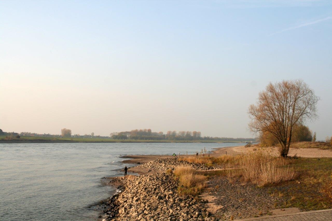 De Rijn