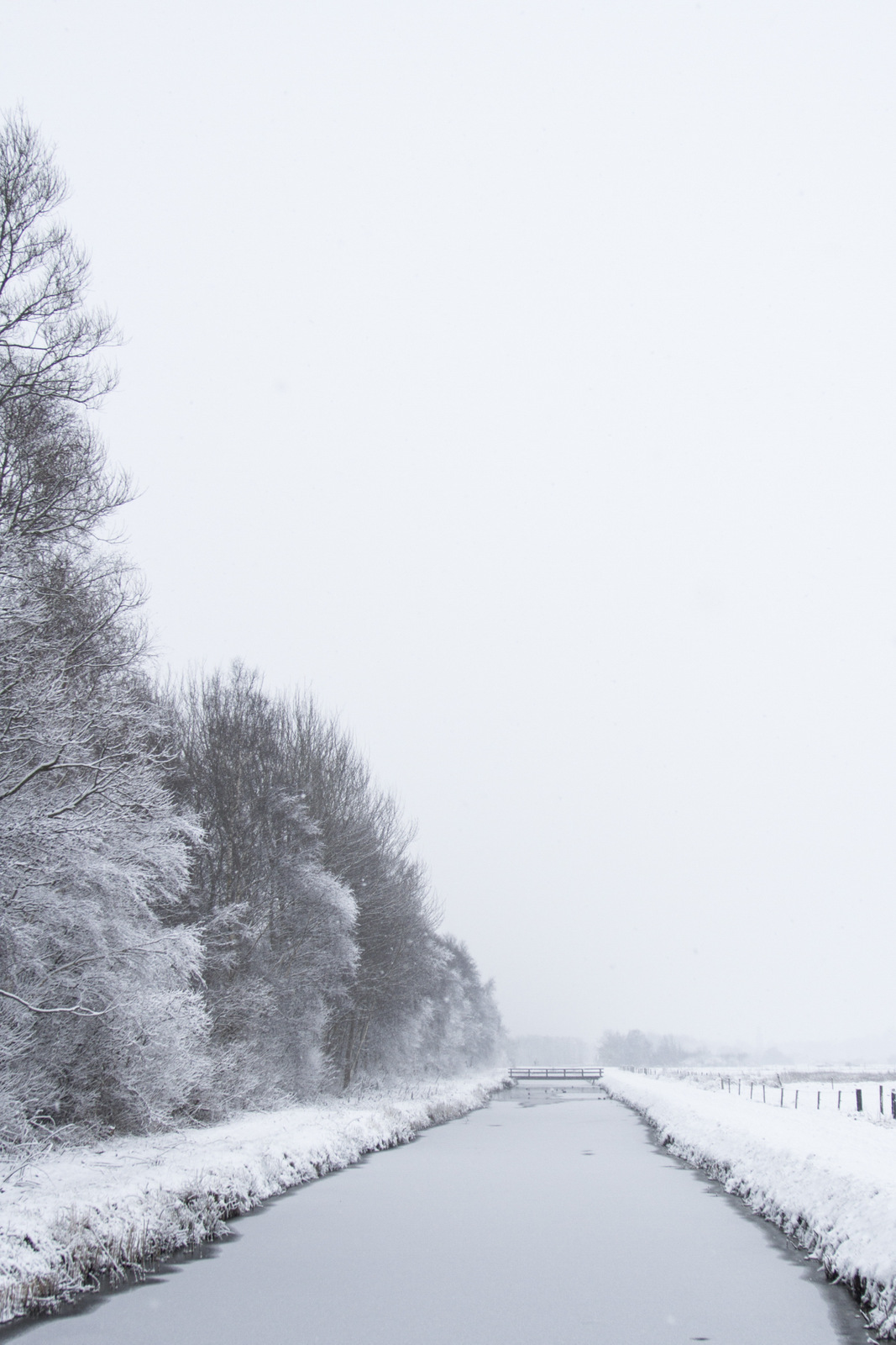sneeuwlandschap
