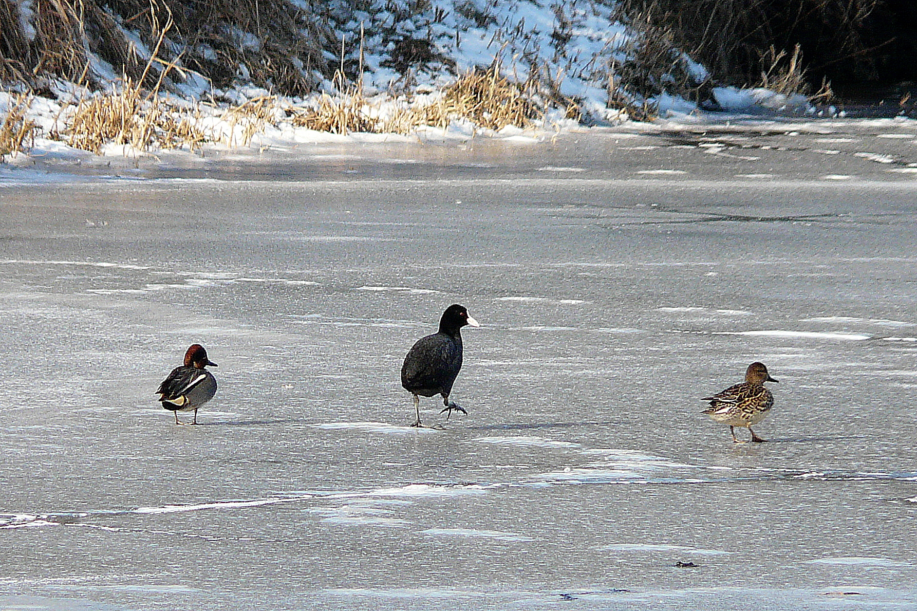 Gezellig aan de wandel