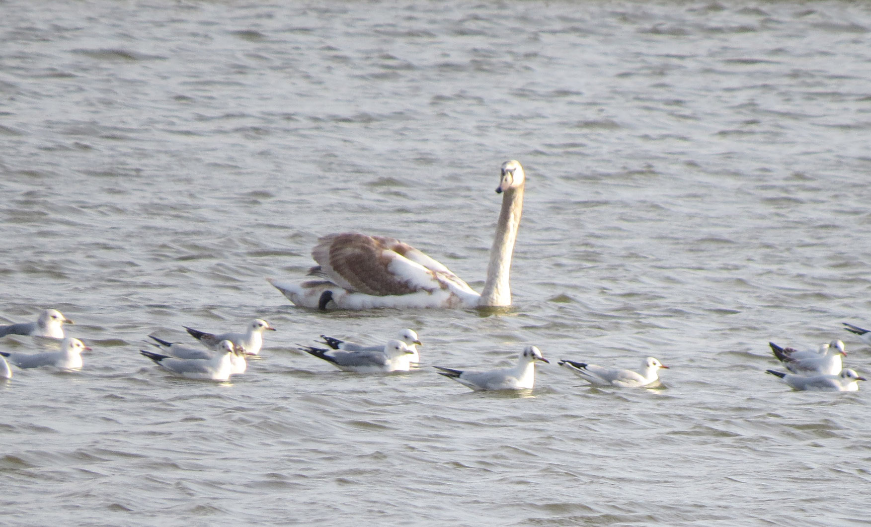 Jongens, netjes in de rij blijven.
