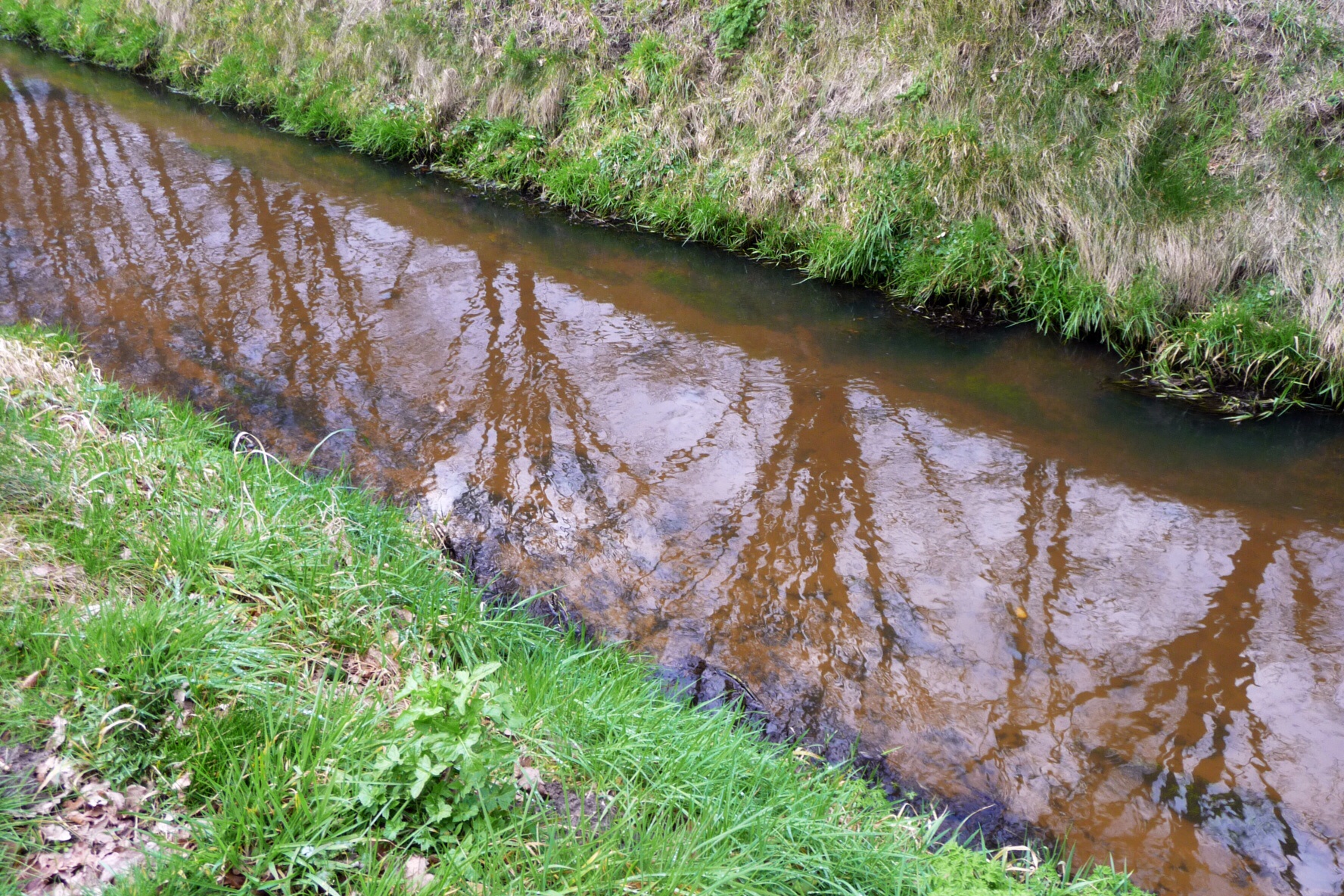 Spiegeling