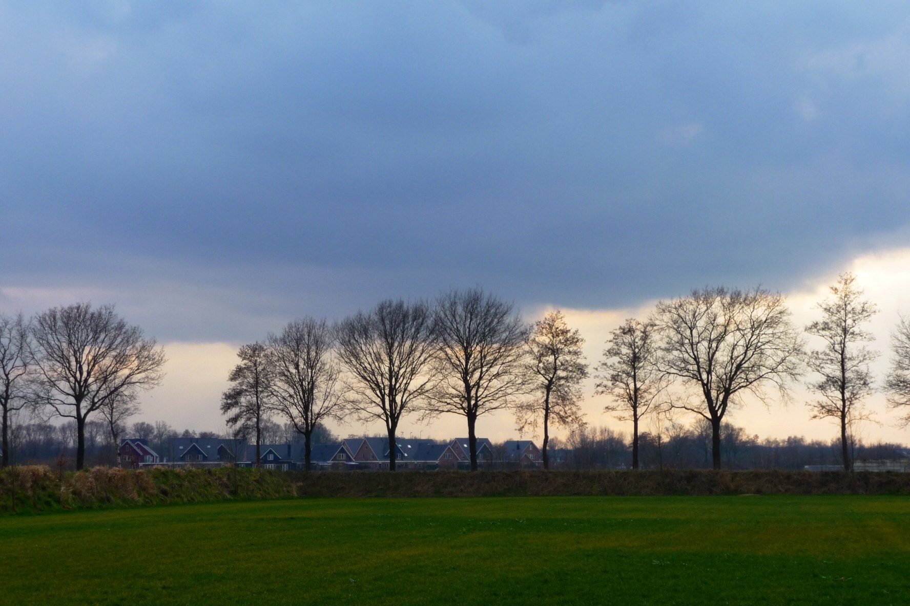 Rij bomen