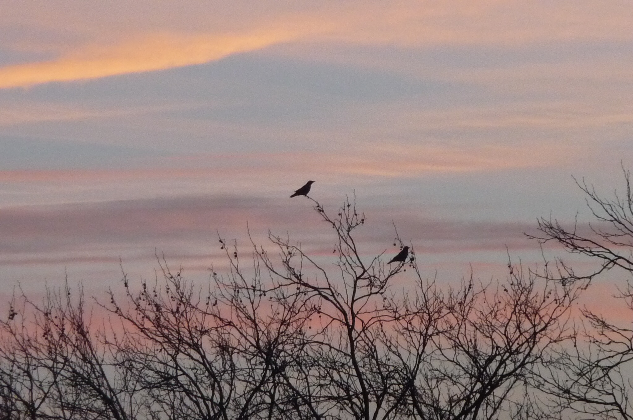 Boven in de top