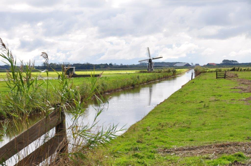 Molen