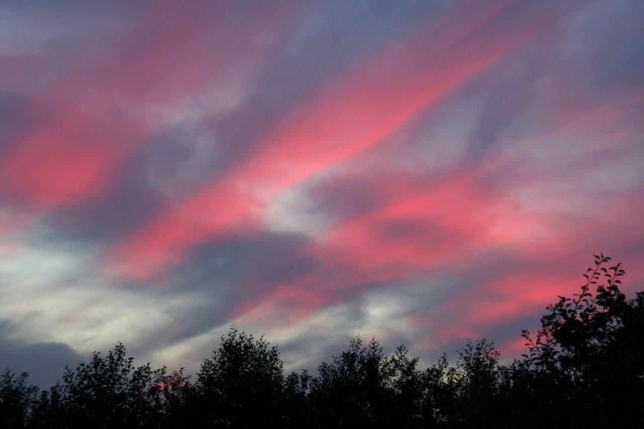 Roze lucht